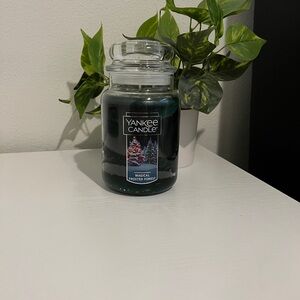 Yankee Candle Magical Frosted Forest Jar - Deep Green